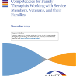 Competencies for Family Therapists Working w/ SMVF